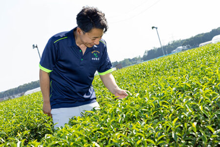 松田製茶