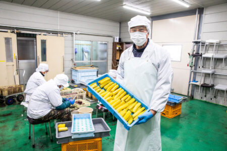 干し芋の加工場の様子